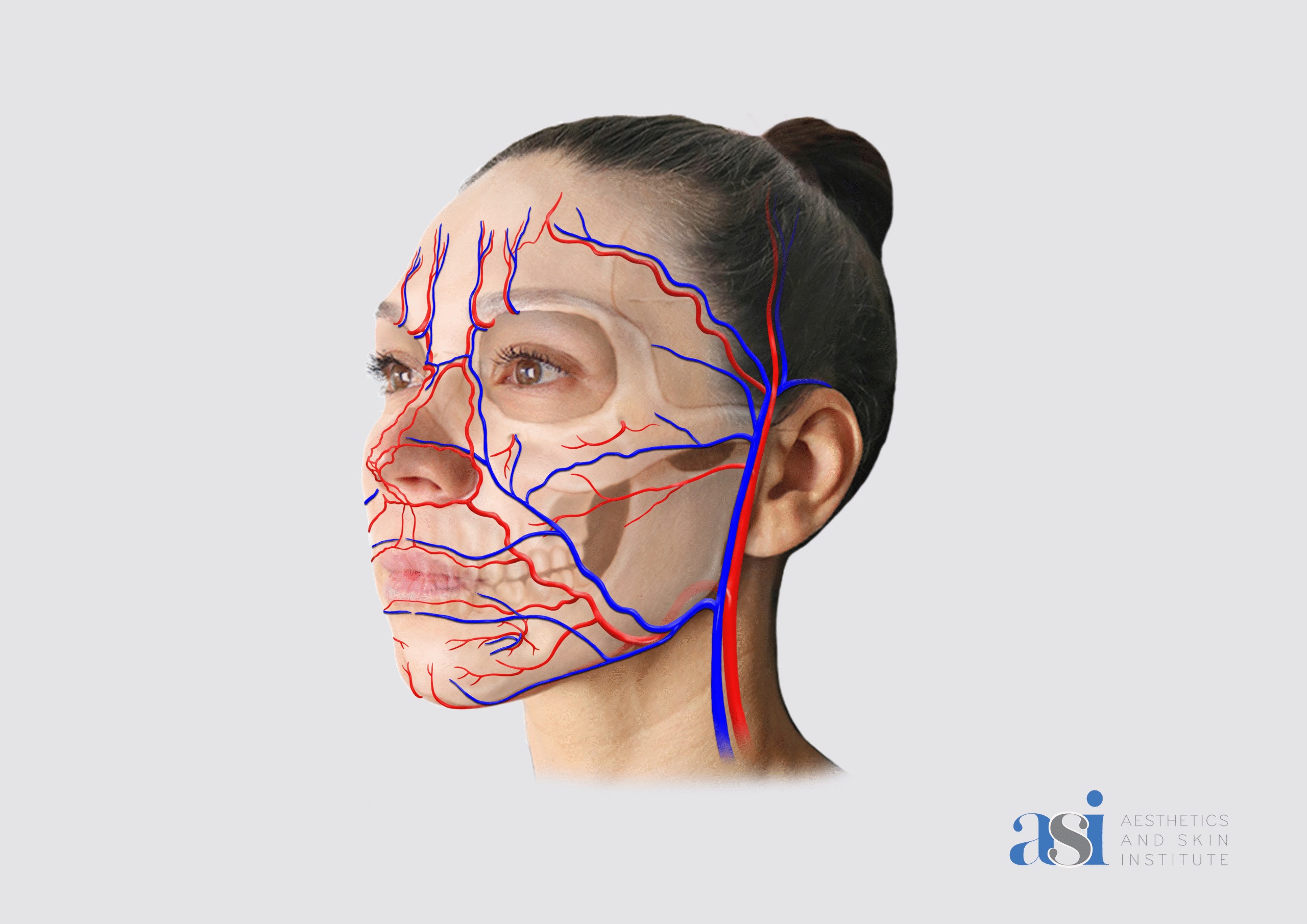 Anatomy For Injectors (AFI) Bundle