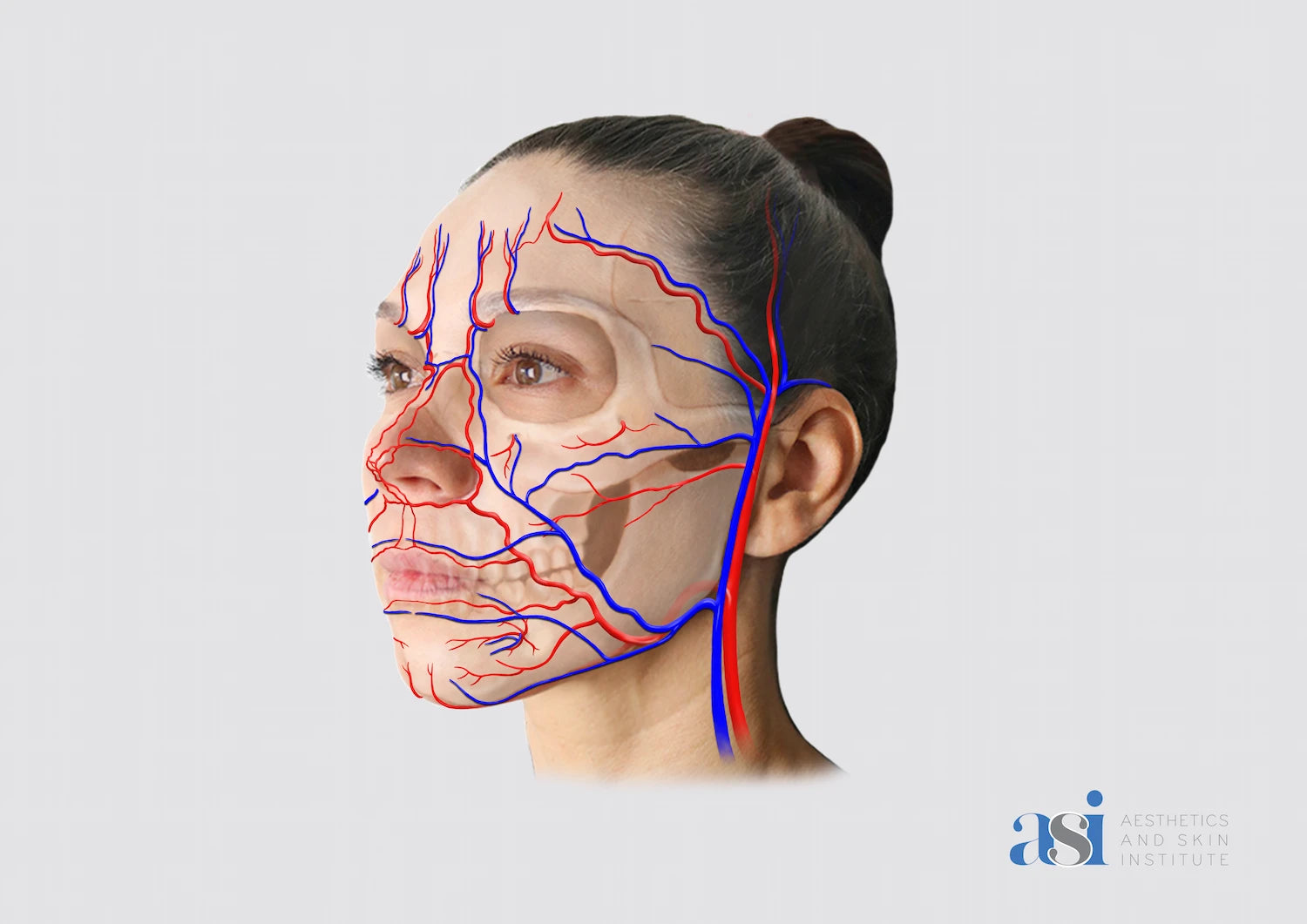 Anatomy For Injectors (AFI) Bundle