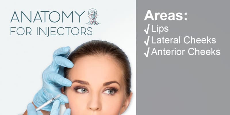 AFI - 1.1 Foundation Dermal Filler